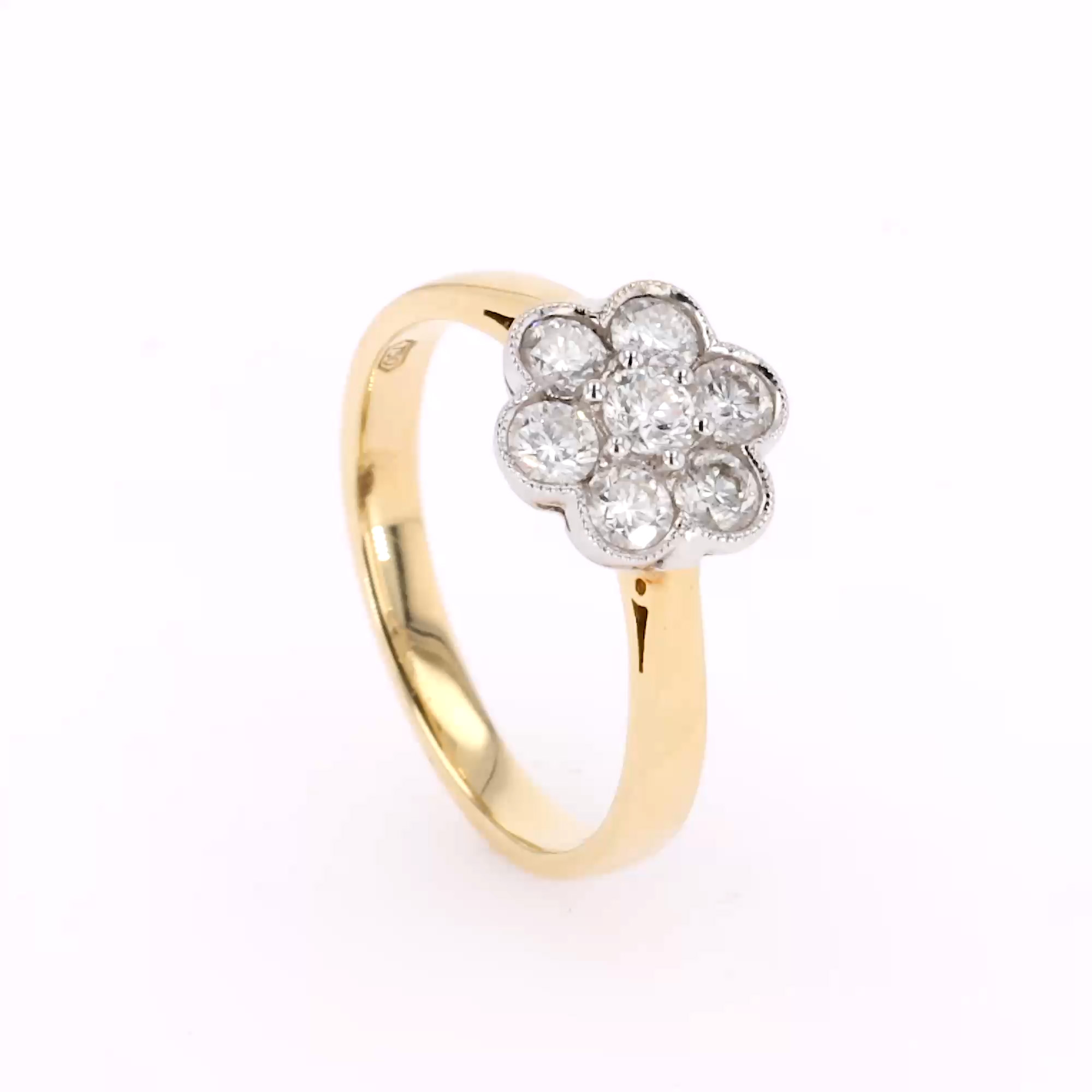 Brilliant Cut 0.75ct Diamond Daisy Cluster Ring  in 18ct Yellow and White Gold