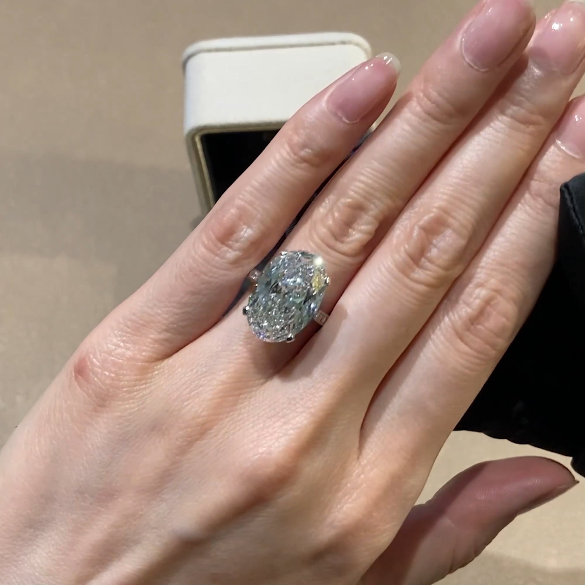 Masterpiece Oval Cut 10.32ct Type IIA Diamond Ring in Platinum