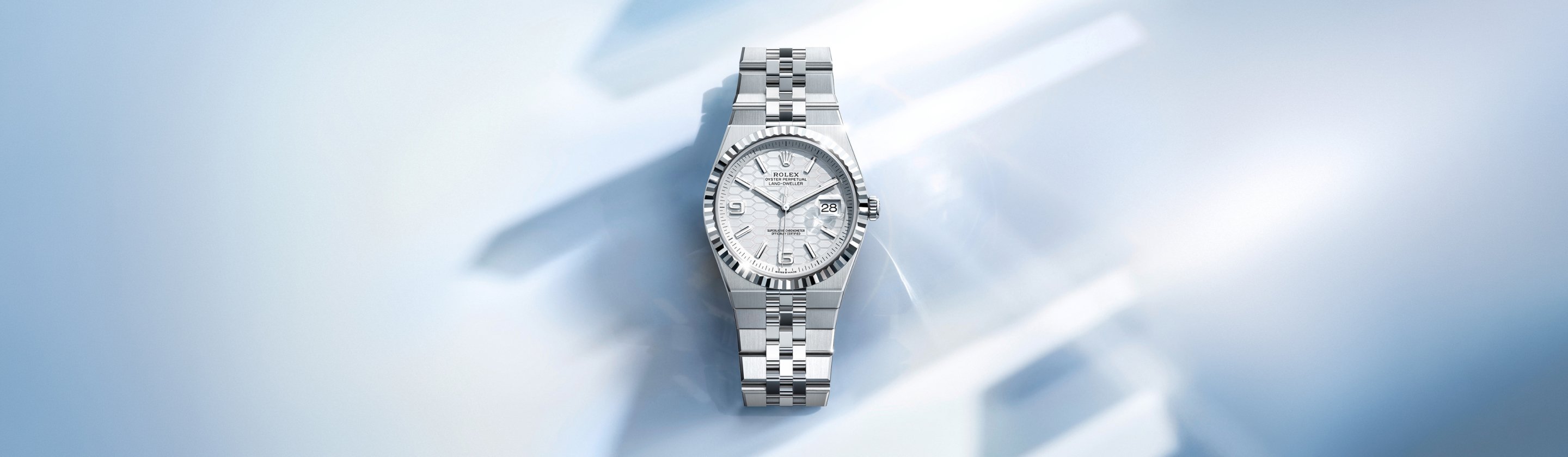 Rolex Land Dweller watch with background