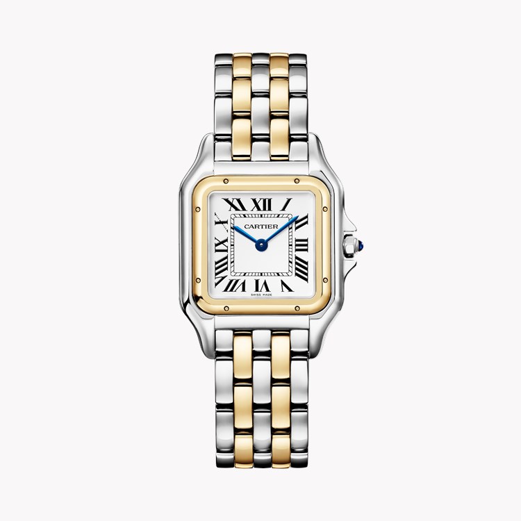 Panthère de Cartier   W2PN0019