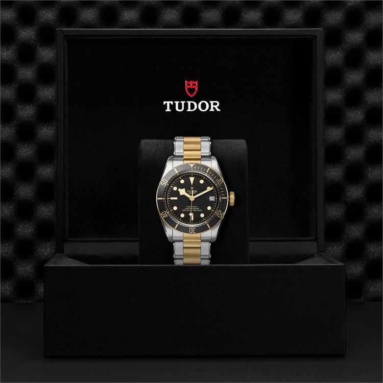 Tudor Black Bay S&G  M79733N-0008 41mm. Black Dial. Baton Numerals_3
