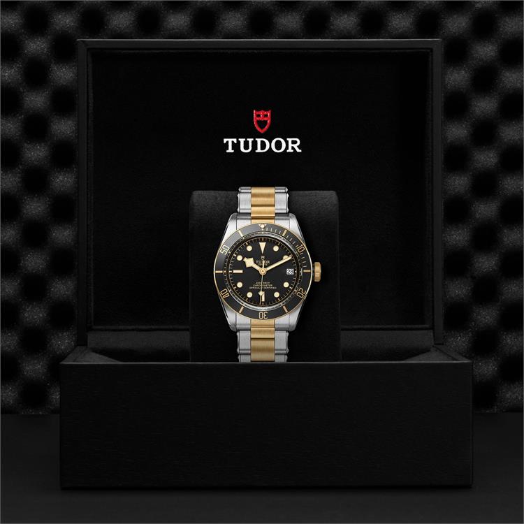 Tudor Black Bay S&G M79733N-0008 Watch - 41mm. Black Dial. Baton 