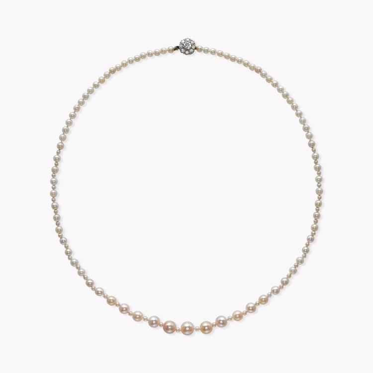 Belle Époque Saltwater Pearl Necklet