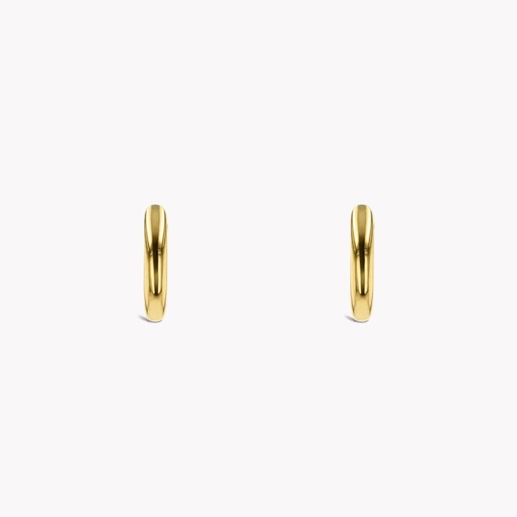 Small Hoop Earrings _2