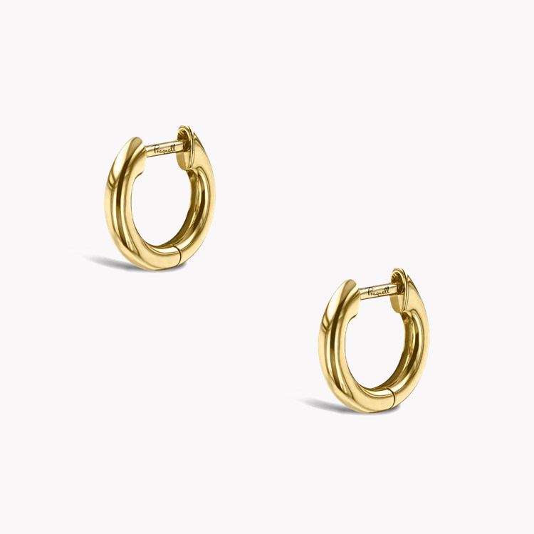 Small Hoop Earrings _3