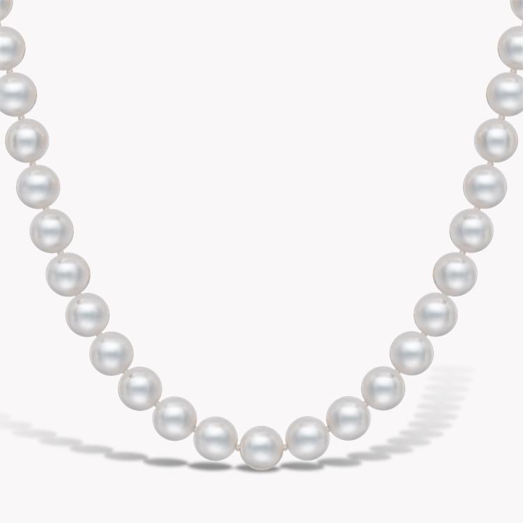 6.0 - 6.5mm Akoya Pearl Necklace _2