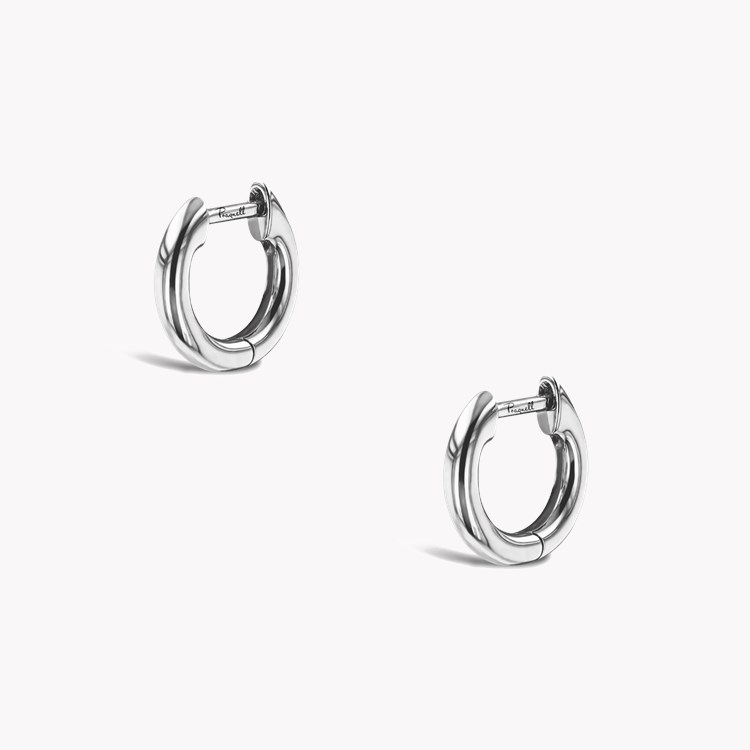 Small Hoop Earrings _3