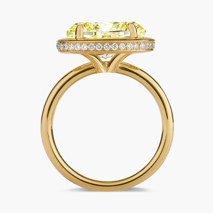 Skimming Stone Oval Cut 5.04ct Diamond Ring Oval Cut, Claw Set_3