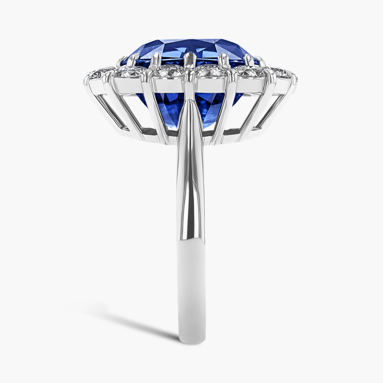 Masterpiece 9.32ct Sri Lankan Sapphire and Diamond Cluster Ring Oval & Round Brilliant Cut, Claw Set_4