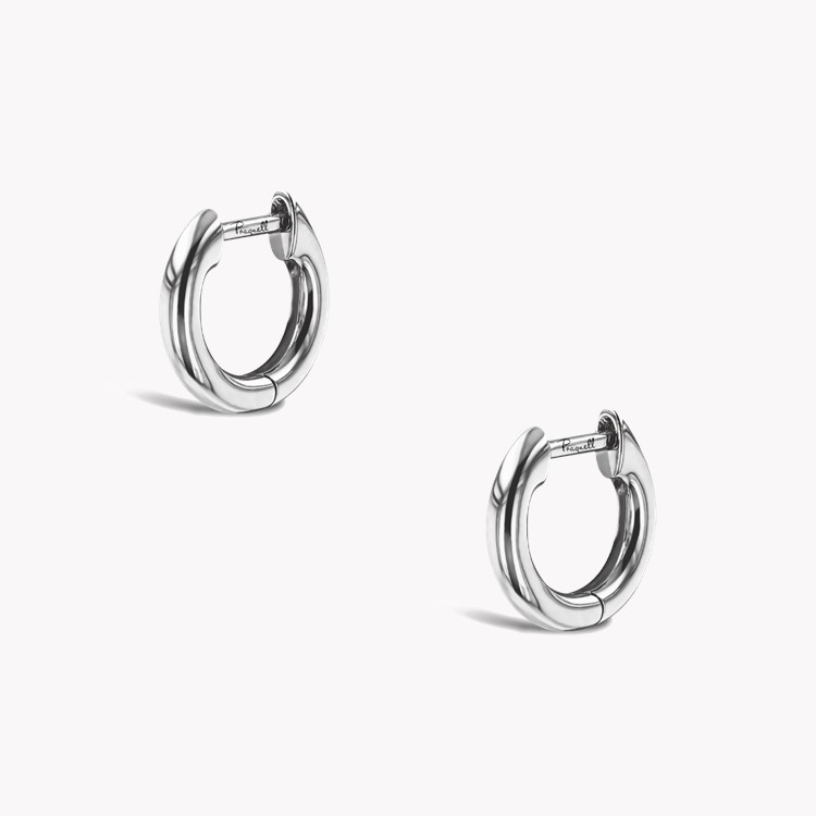 Small Hoop Earrings _3