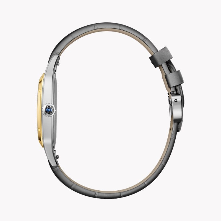 Cartier Santos-Dumont Large, Grey Dial, Roman Numerals_3