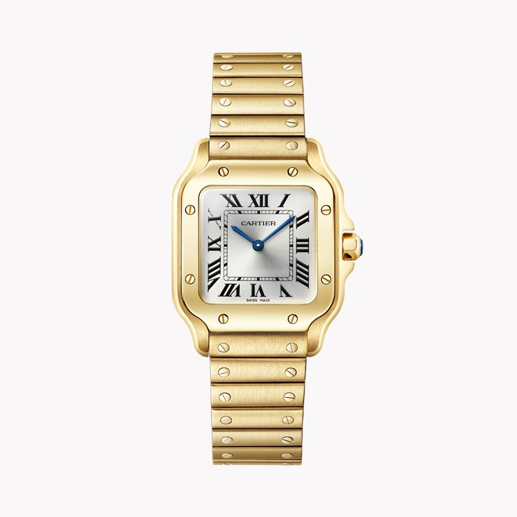 Cartier Santos de Cartier Small, Silver Dial, Roman Numerals_1