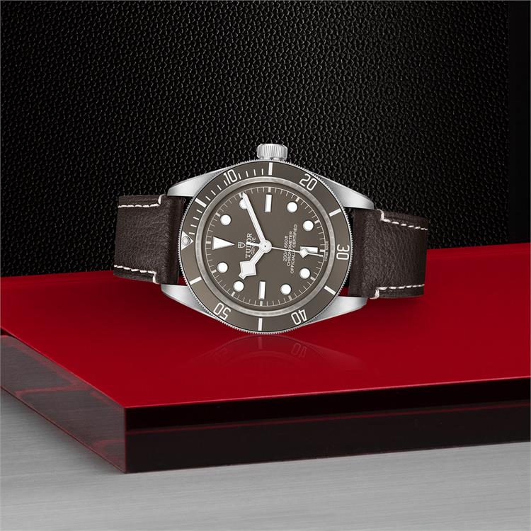 Tudor Black Bay Fifty-Eight 925  M79010SG-0001 39mm, Taupe Dial, Baton Markers_2