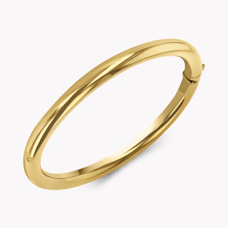 Plain Polished 6mm Oval Bangle _2