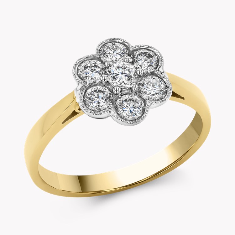 Brilliant Cut 0.75ct Diamond Daisy Cluster Ring Brilliant cut, Claw set_1