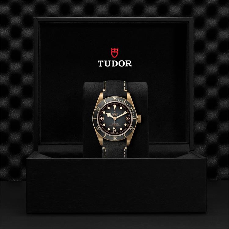 Tudor Black Bay Bronze 43mm. Grey Dial. Arabic/Baton Numerals_3