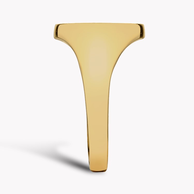 Oval Signet Ring _4