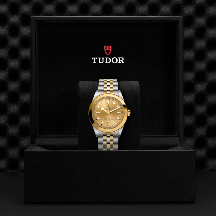 Tudor Black Bay One 39 S&G 39mm, Gold Dial, Baton Numerals_3