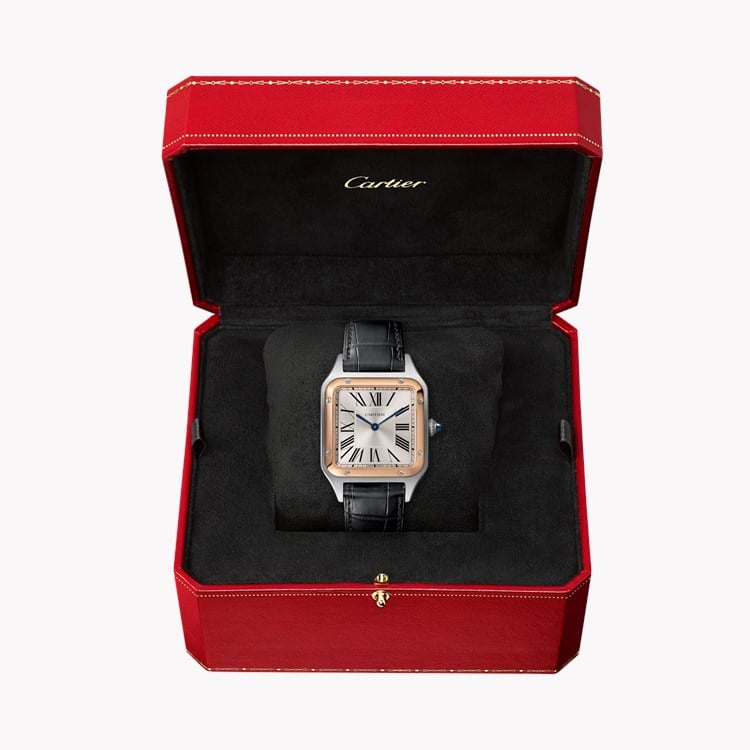 Cartier Santos-Dumont Large, Silver Dial, Roman Numerals_5