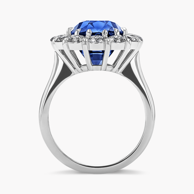 Masterpiece 9.32ct Sri Lankan Sapphire and Diamond Cluster Ring Oval & Round Brilliant Cut, Claw Set_3