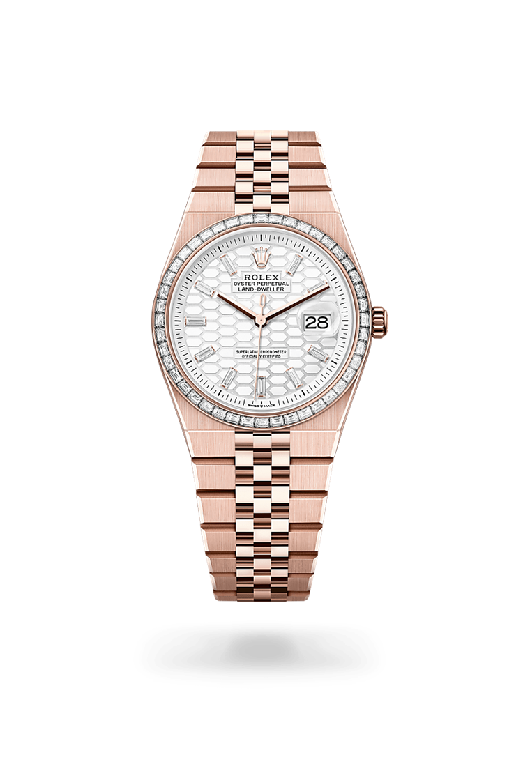 Land-Dweller 36, Oyster, 36 mm, Everose gold and diamonds