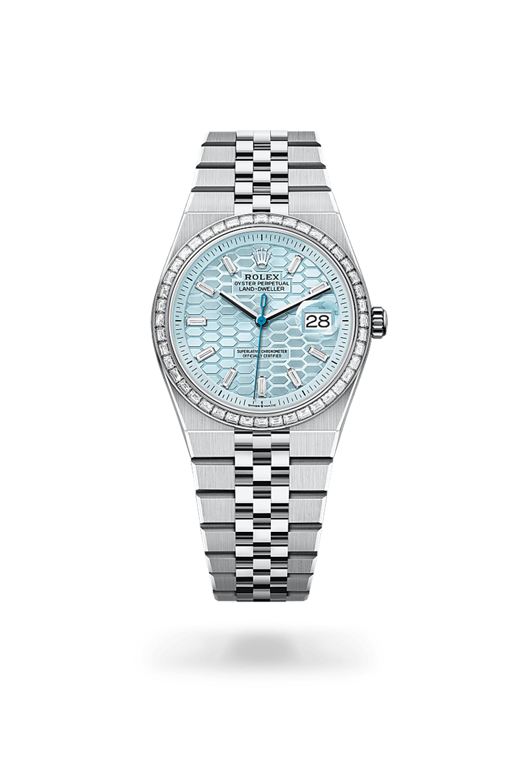 Land-Dweller 36, Oyster, 36 mm, platinum and diamonds