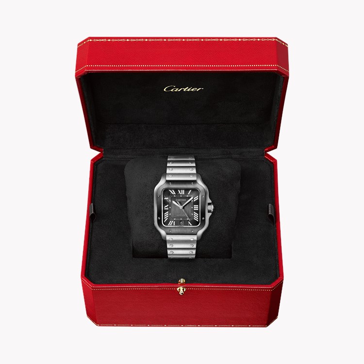 Cartier Santos de Cartier Large, Grey Dial, Roman Numerals_6