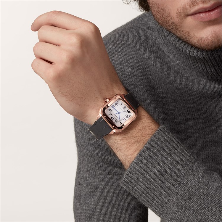 Cartier Santos de Cartier Large, Silver Dial, Roman Numerals_10