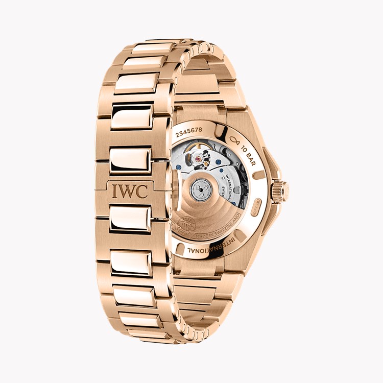 IWC Ingenieur 35.1mm, Gold Dial, Baton Numerals_4