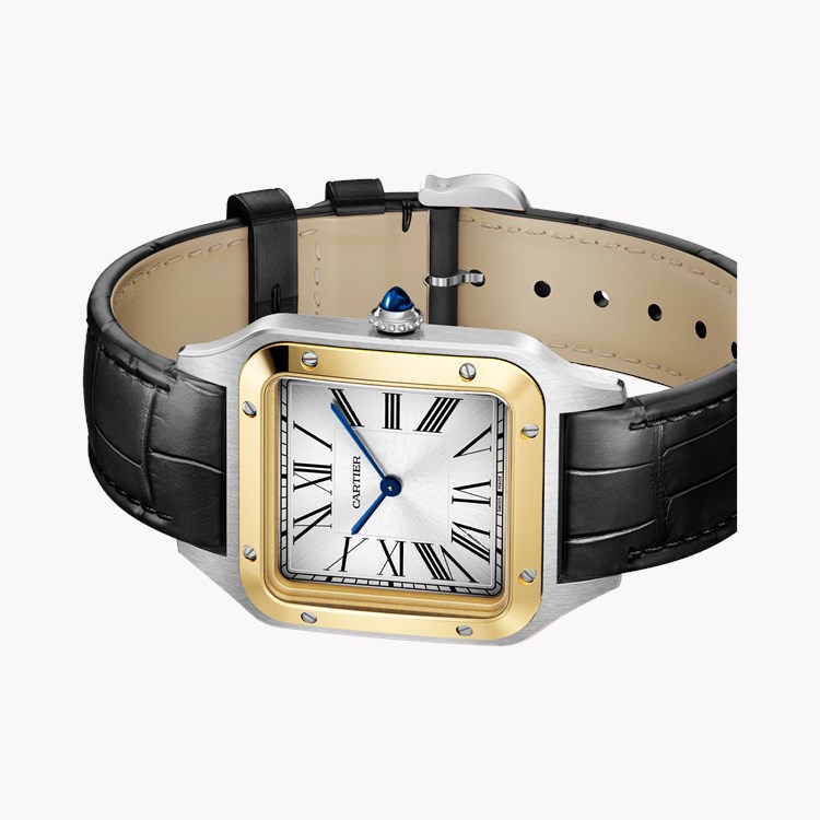 Cartier Santos-Dumont Extra-Large, Silver Dial, Roman Numerals_4