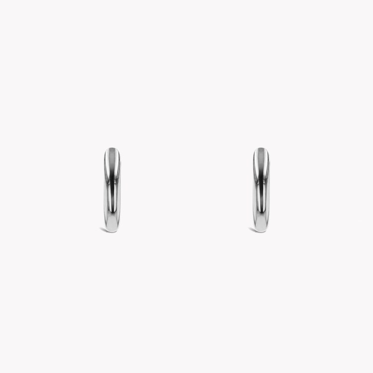 Small Hoop Earrings _2