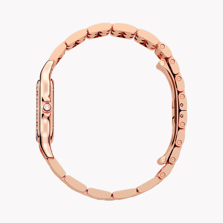 Cartier Panthère de Cartier _3
