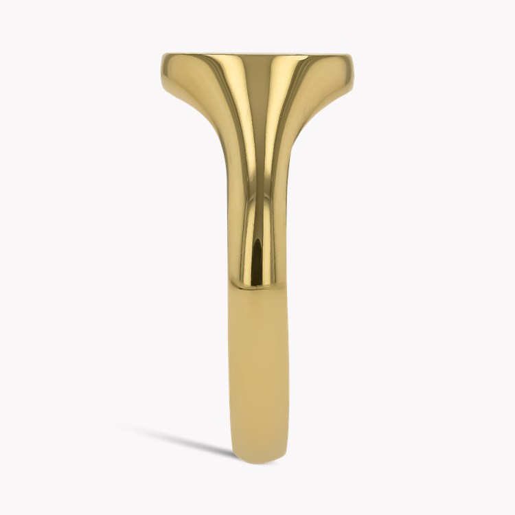 Oval Signet Ring _4