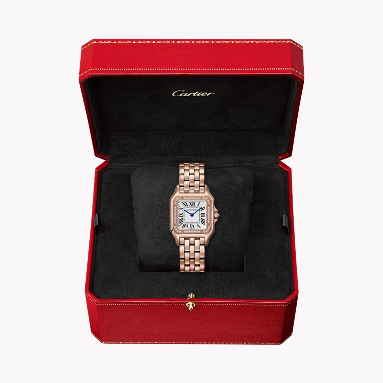 Cartier Panthère de Cartier _6