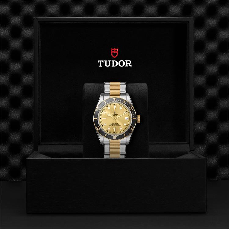 Tudor Black Bay S&G  M79733N-0004 41mm. Gold Dial. Baton Numerals_3