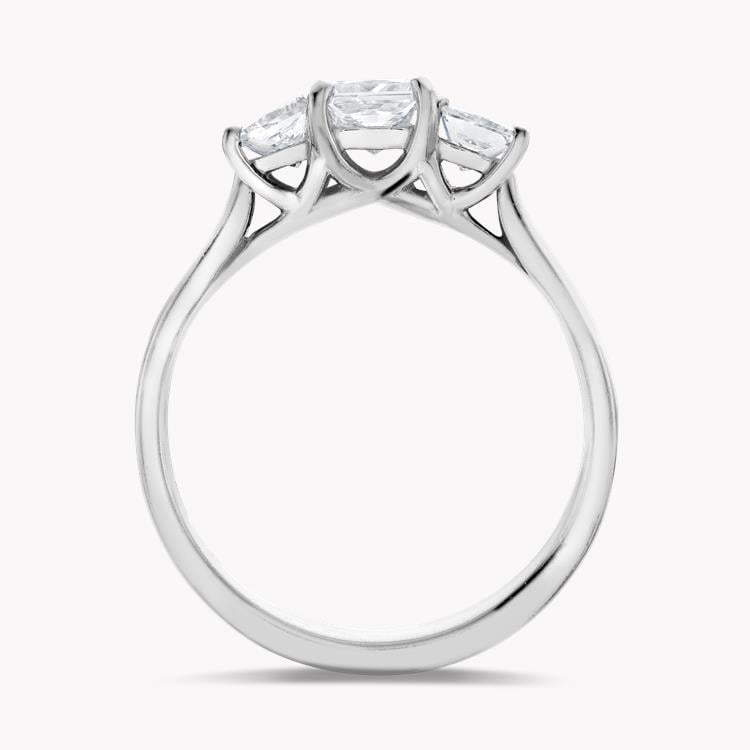 1.00CT Diamond Three-Stone Ring Platinum Gaia Setting Princess Cut, Three-Stone, Four Claw Set_3