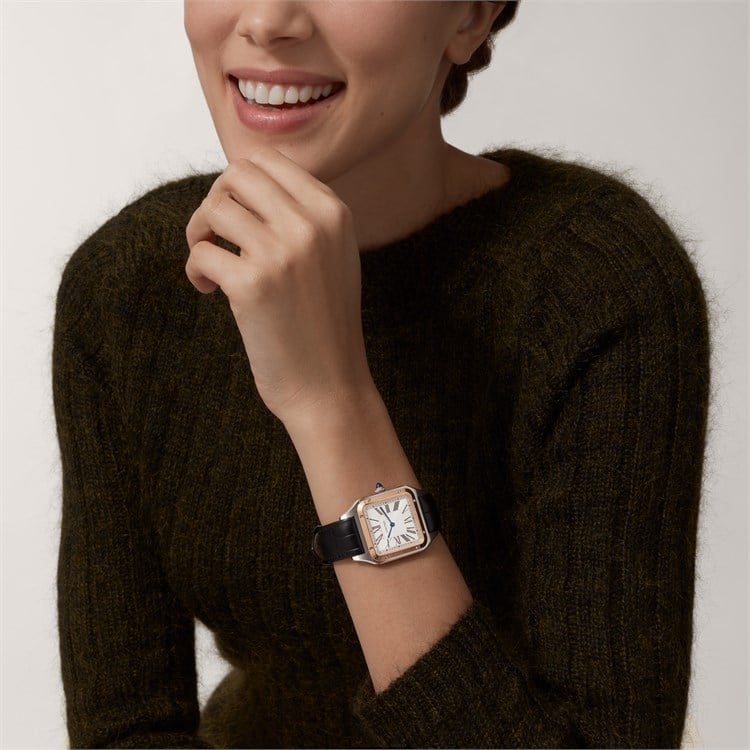 Cartier Santos-Dumont Large, Silver Dial, Roman Numerals_6