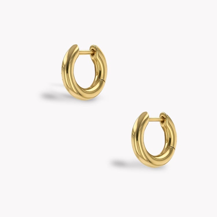Havana Gold Hoop Earrings _3