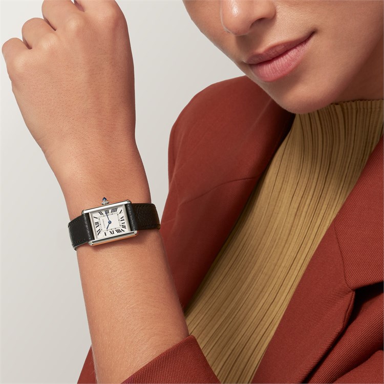 Cartier Tank Must Small, Silver Dial, Roman Numerals_5