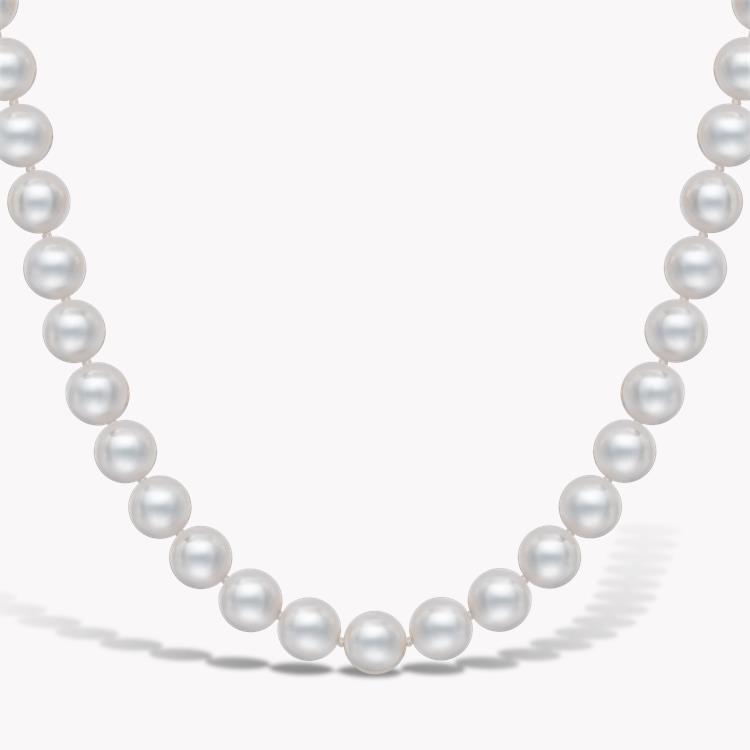 Akoya Pearl Necklace 7.5 - 8mm Silk Knotted Row with Gold Clasp_2