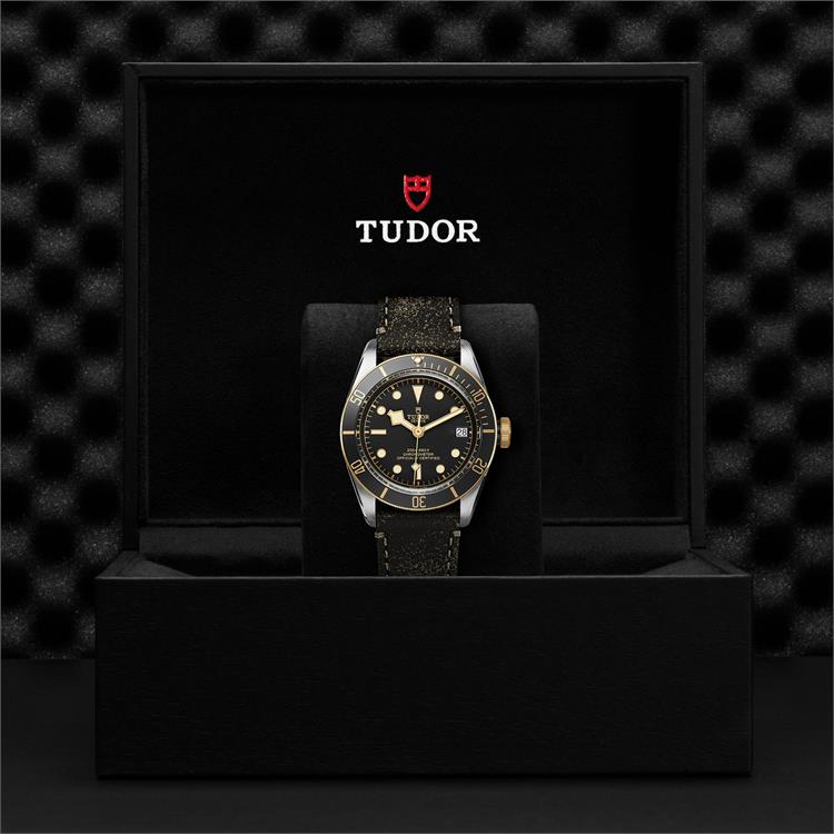 Tudor Black Bay S&G 41mm. Black Dial. Baton Numerals_3