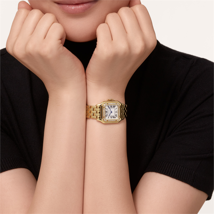 Cartier Panthère de Cartier _10