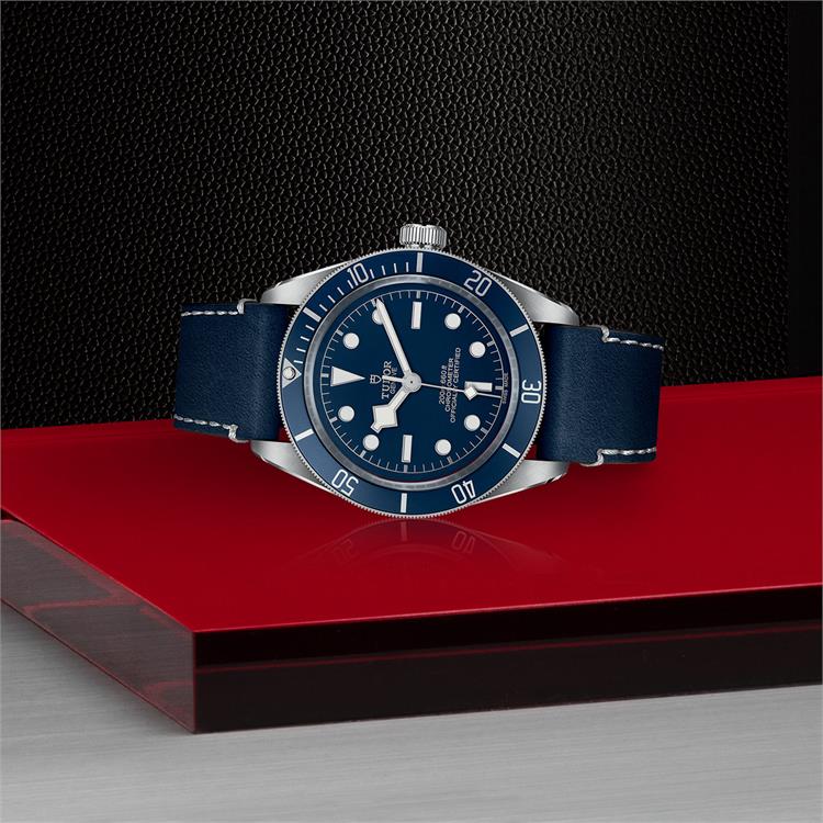 Tudor Black Bay Fifty-Eight 39mm, Blue Dial, Baton Numerals_2
