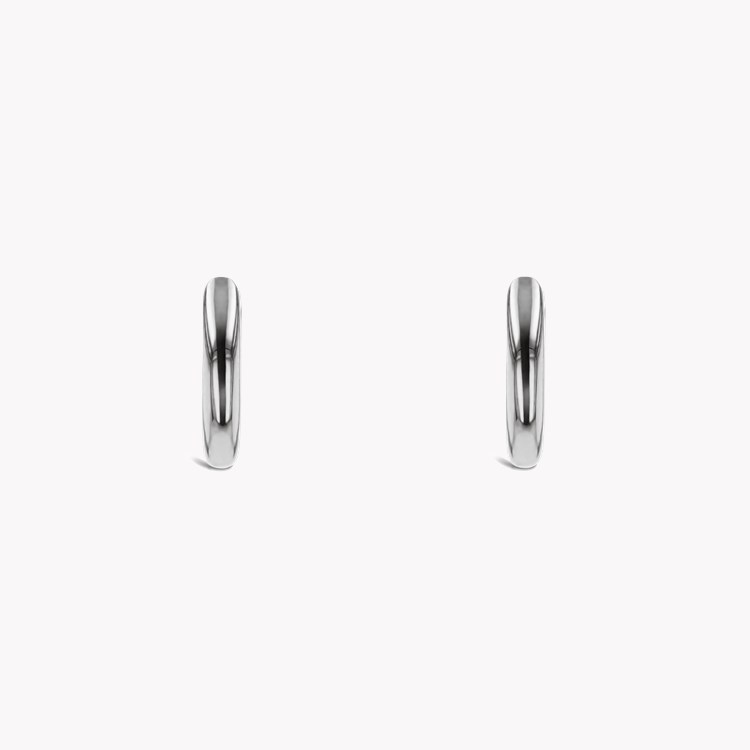 Small Hoop Earrings _2