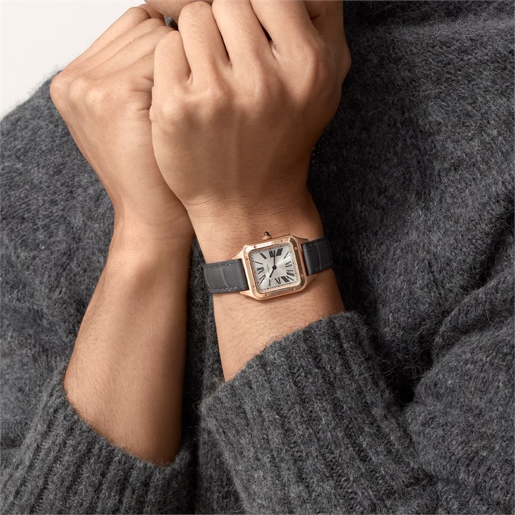 Cartier Santos-Dumont Small, Silver Dial, Roman Numerals_7