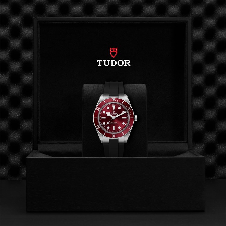 Tudor Black Bay 58 39mm, Burgundy Dial, Baton/Dot Numerals_3