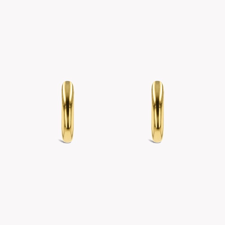 Small Hoop Earrings _2