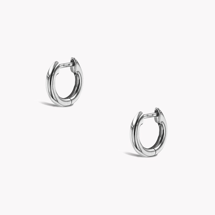 Small Hoop Earrings _3