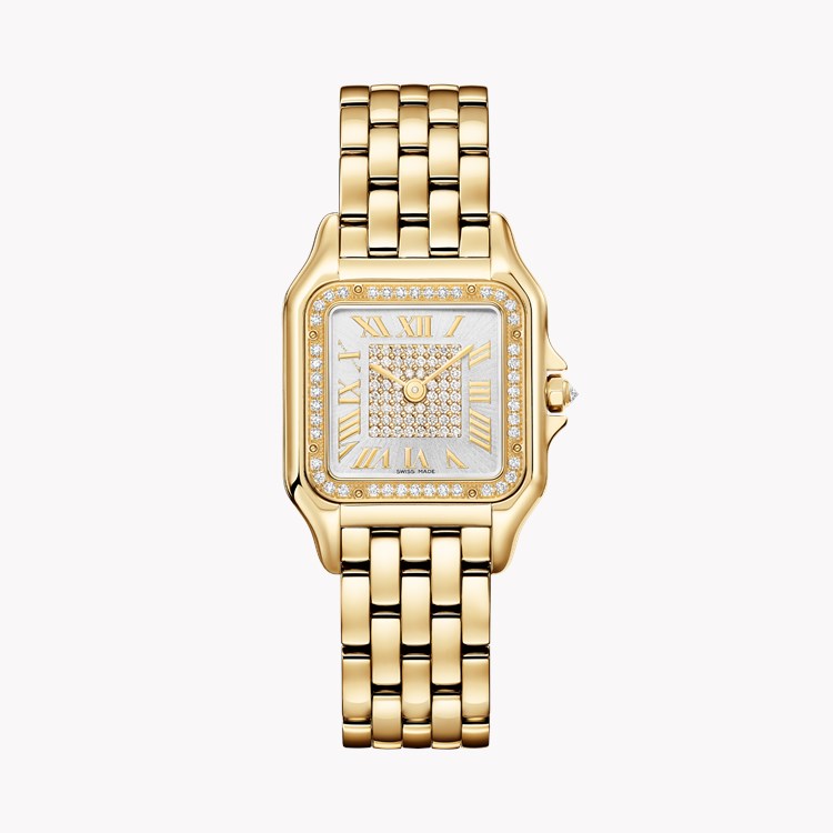 Panthère de Cartier   WJPN0093