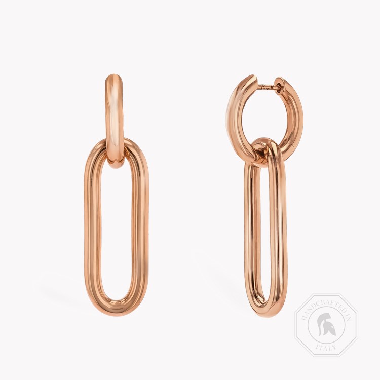 Havana Drop Earrings _1